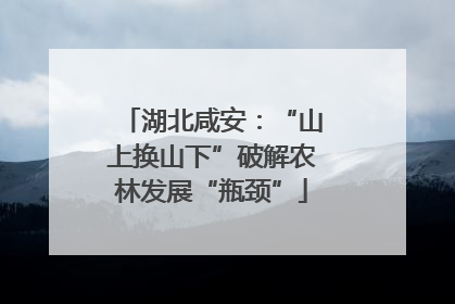 湖北咸安：“山上换山下”破解农林发展“瓶颈”