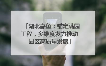 湖北嘉鱼：锚定满园工程，多维度发力推动园区高质量发展
