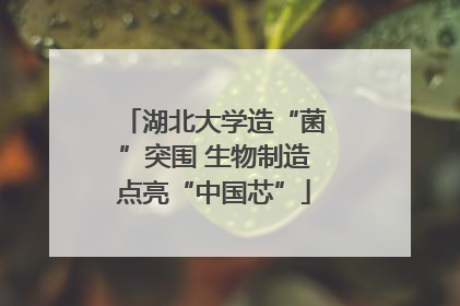 湖北大学造“菌”突围 生物制造点亮“中国芯”