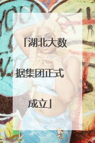 湖北大数据集团正式成立