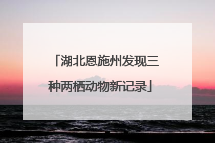 湖北恩施州发现三种两栖动物新记录