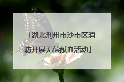 湖北荆州市沙市区消防开展无偿献血活动