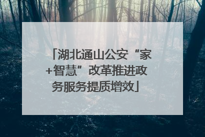 湖北通山公安“家+智慧”改革推进政务服务提质增效