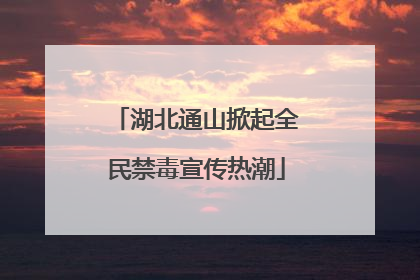 湖北通山掀起全民禁毒宣传热潮