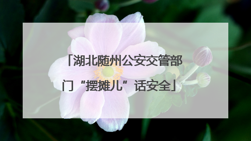 湖北随州公安交管部门“摆摊儿”话安全