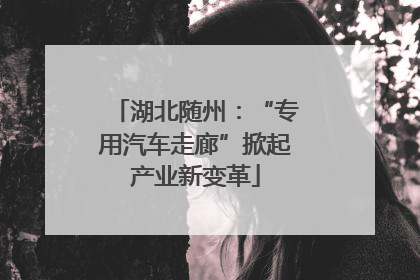 湖北随州：“专用汽车走廊”掀起产业新变革