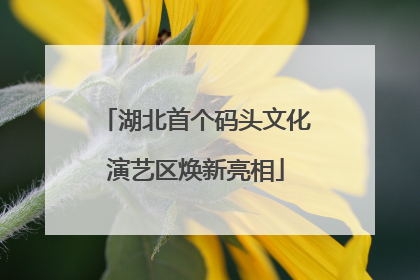 湖北首个码头文化演艺区焕新亮相