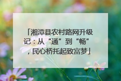 湘潭县农村路网升级记：从“通”到“畅”，民心桥托起致富梦