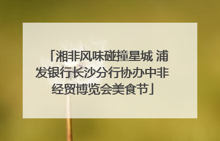 湘非风味碰撞星城 浦发银行长沙分行协办中非经贸博览会美食节