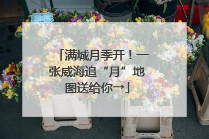 满城月季开！一张威海追“月”地图送给你→