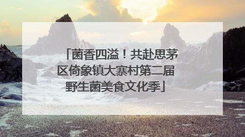 菌香四溢！共赴思茅区倚象镇大寨村第二届野生菌美食文化季