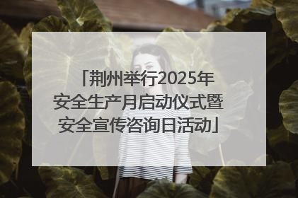 荆州举行2025年安全生产月启动仪式暨安全宣传咨询日活动