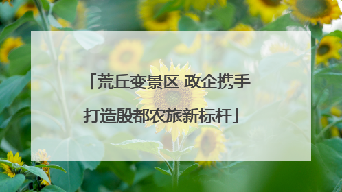 荒丘变景区 政企携手打造殷都农旅新标杆