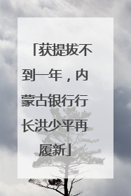 获提拔不到一年，内蒙古银行行长洪少平再履新