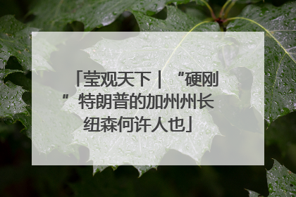 莹观天下｜“硬刚”特朗普的加州州长纽森何许人也