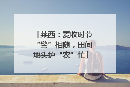 莱西：麦收时节“警”相随，田间地头护“农”忙