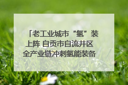 老工业城市“氢”装上阵 自贡市自流井区全产业链冲刺氢能装备制造新高地｜美好生活有“盐”味