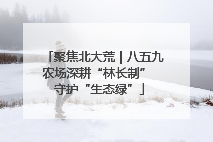 聚焦北大荒｜八五九农场深耕“林长制” 守护“生态绿”
