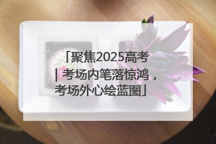 聚焦2025高考｜考场内笔落惊鸿，考场外心绘蓝图