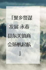 聚乡贤谋发展 永春县东关镇商会扬帆起航