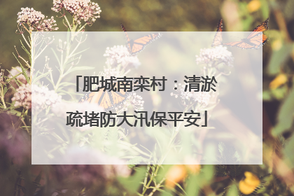 肥城南栾村：清淤疏堵防大汛保平安