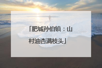 肥城孙伯镇：山村油杏满枝头