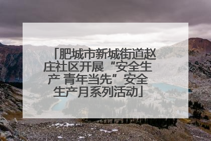 肥城市新城街道赵庄社区开展“安全生产 青年当先”安全生产月系列活动