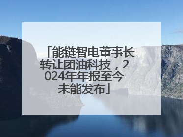 能链智电董事长转让团油科技，2024年年报至今未能发布