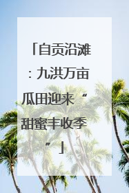 自贡沿滩：九洪万亩瓜田迎来“甜蜜丰收季”