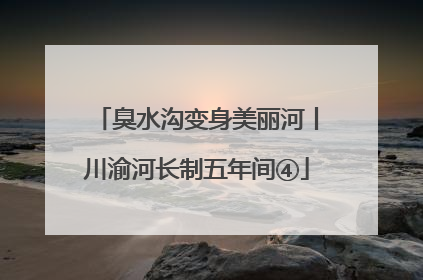 臭水沟变身美丽河丨川渝河长制五年间④
