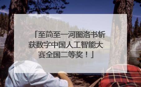 至简至一河图洛书斩获数字中国人工智能大赛全国二等奖！