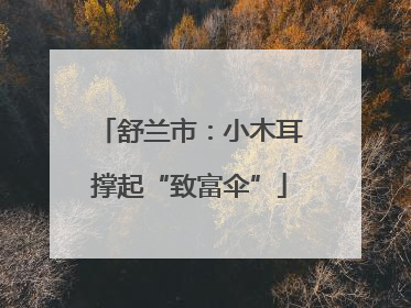 舒兰市：小木耳撑起“致富伞”