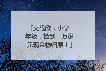 艾载欣，小学一年级，捡到一万多元现金物归原主
