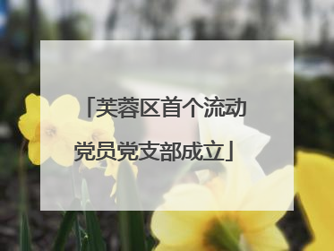 芙蓉区首个流动党员党支部成立