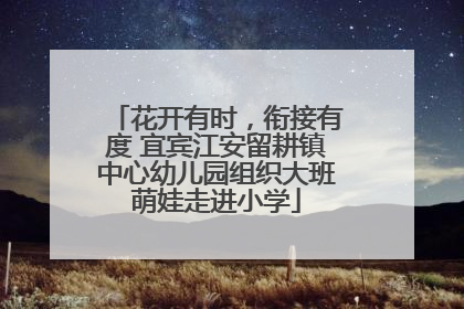 花开有时，衔接有度 宜宾江安留耕镇中心幼儿园组织大班萌娃走进小学