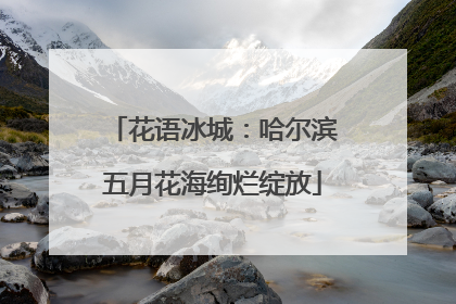 花语冰城：哈尔滨五月花海绚烂绽放