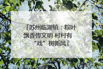 苏州临湖镇：粽叶飘香传文明 村村有“戏”树新风