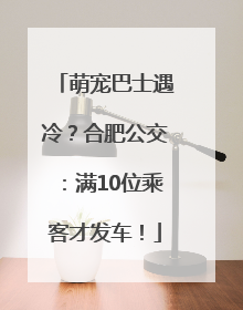 萌宠巴士遇冷？合肥公交：满10位乘客才发车！