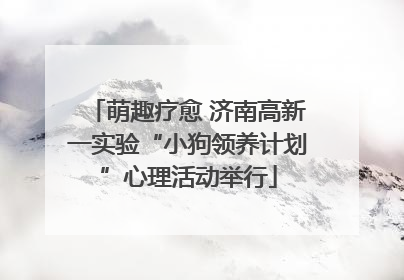 萌趣疗愈 济南高新一实验“小狗领养计划”心理活动举行