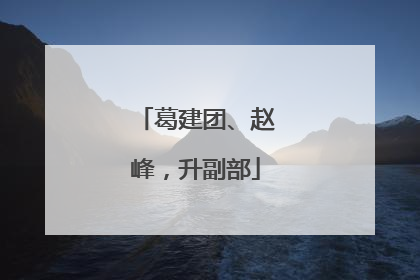 葛建团、赵峰，升副部