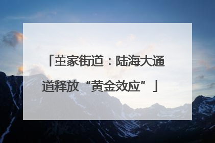 董家街道：陆海大通道释放“黄金效应”