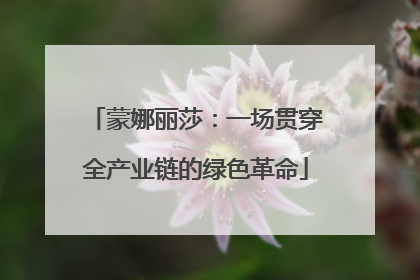 蒙娜丽莎：一场贯穿全产业链的绿色革命