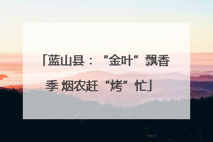 蓝山县：“金叶”飘香季 烟农赶“烤”忙