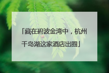 藏在碧波金湾中，杭州千岛湖这家酒店出圈