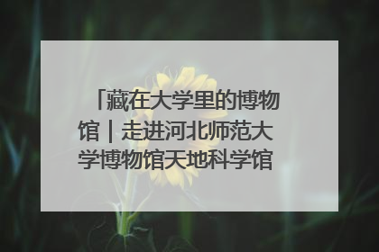 藏在大学里的博物馆｜走进河北师范大学博物馆天地科学馆：在校园里赴一场“宇宙之约”