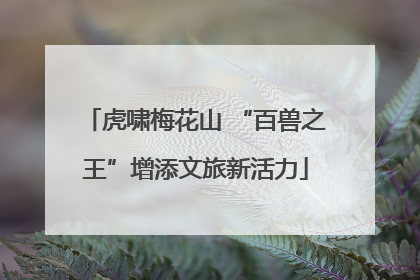 虎啸梅花山 “百兽之王”增添文旅新活力