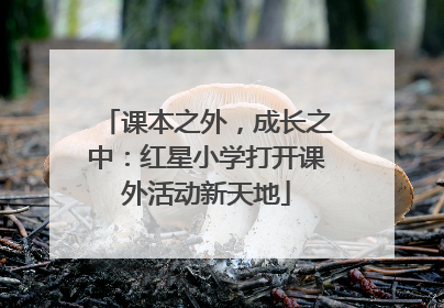 课本之外，成长之中：红星小学打开课外活动新天地