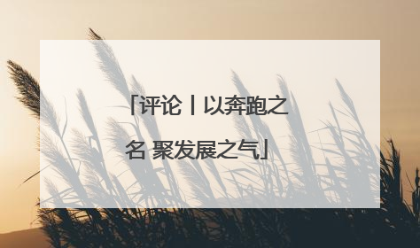 评论丨以奔跑之名 聚发展之气
