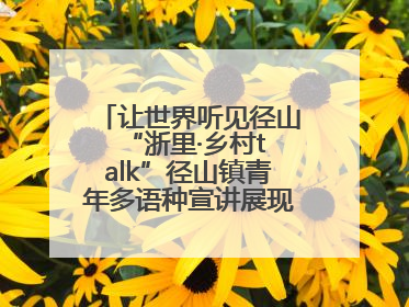 让世界听见径山 “浙里·乡村talk”径山镇青年多语种宣讲展现文化国际范
