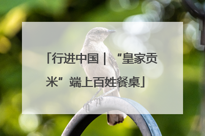 行进中国｜“皇家贡米”端上百姓餐桌